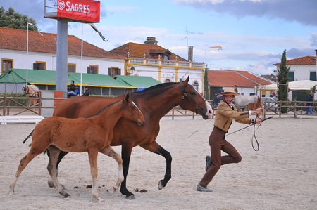 EXPOEGUA 2013 – GOLEGÃ