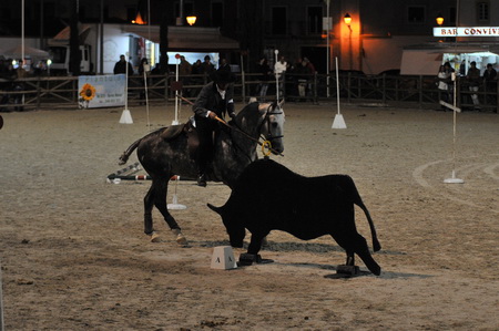 EXPOEGUA 2013 – GOLEGÃ