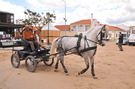 EXPOEGUA 2013 – GOLEGÃ