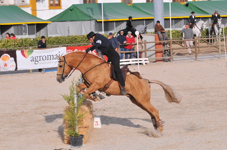 EXPOEGUA 2013 – GOLEGÃ