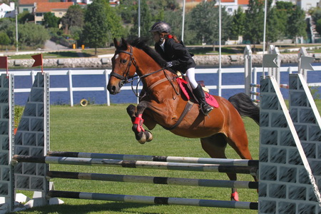 HIPISMO – CSN ABRANTES 2013