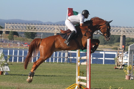 HIPISMO – CSN ABRANTES 2013