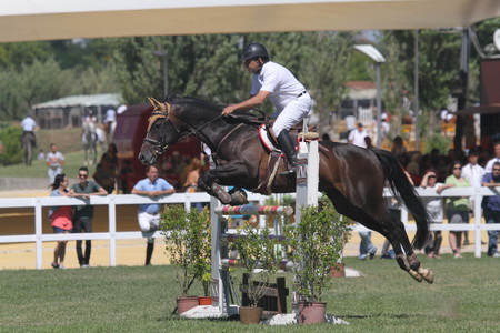 HIPISMO – CSN ABRANTES 2013