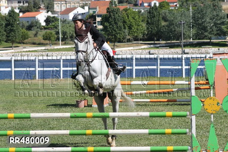 HIPISMO – CSN ABRANTES 2013
