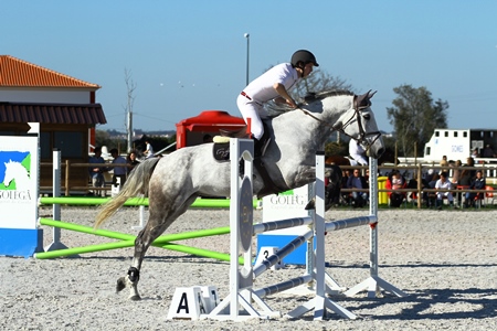 HIPISMO – ROTA DO TEJO 2014 – GOLEGÃ