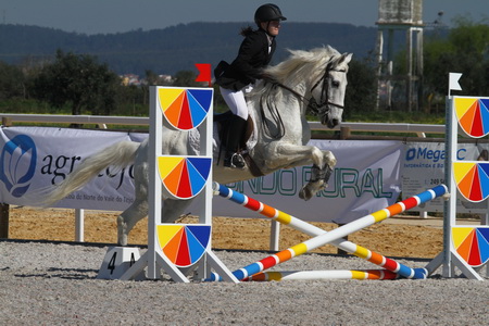 HIPISMO – ROTA DO TEJO 2014 – GOLEGÃ