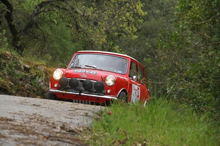 25 – LUIS SERRA