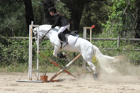 0.50M(FOTOGRAFO – JOSÉ BAPTISTA)