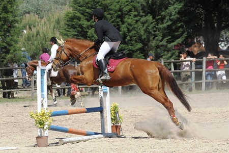 0.80M(FOTOGRAFO – JOSÉ BAPTISTA)