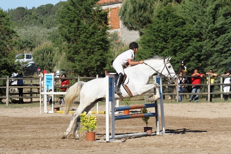 1.00M (FOTOGRAFO – JOSÉ BAPTISTA)