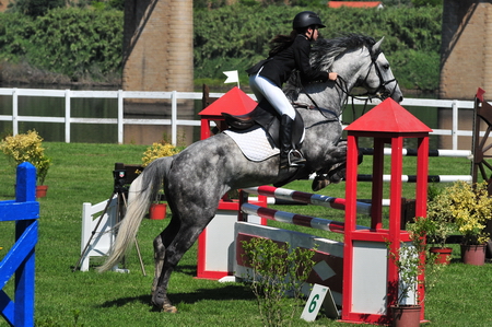 1.00m – SÁBADO(FOTÓGRAFO – FERNANDO CASTANHO)