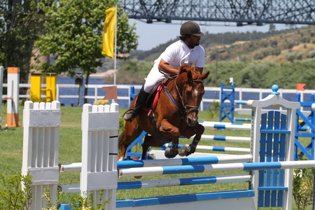 1.10m – DOMINGO(FOTÓGRAFO – FERNANDO CASTANHO)