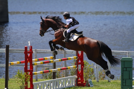 1.20m – DOMINGO(FOTÓGRAFO – FERNANDO CASTANHO)