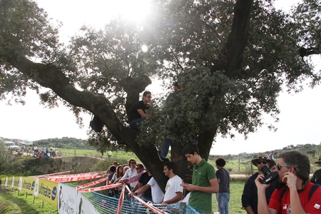 TT – 28ª BAJA PORTALEGRE 500 – 2014