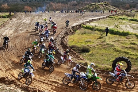 TT – CROSS COUNTRY LF SPORT 2015 – ALPIARÇA
