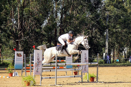 HIPISMO – GRANDE PREMIO DO RIBATEJO 20 KM DE ALMEIRIM 2016 – 3ª PROVA – CMSM