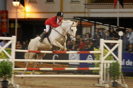 SABADO - 04/11/06 - CONCURSO DE SALTOS DE OBSTACULOS