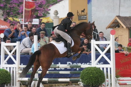 DOMINGO - 05/11/06 - CONCURSO DE SALTOS DE OBSTACULOS - MANHÃ