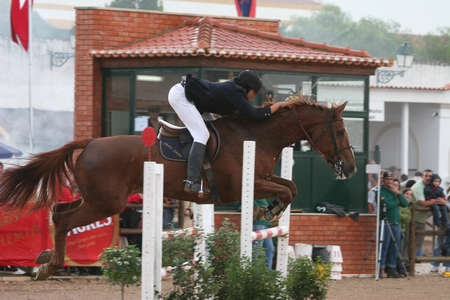 DOMINGO - 05/11/06 - CONCURSO DE SALTOS DE OBSTACULOS - TARDE