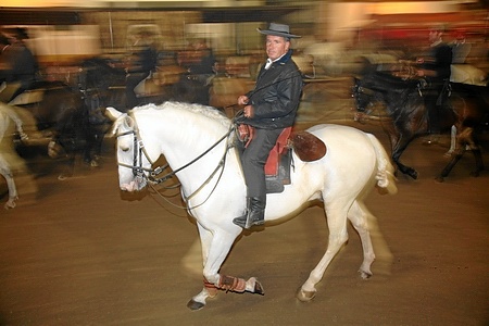 6ª FEIRA -10-11-06 - PICADEIRO