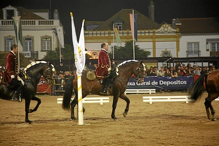 6ª FEIRA -10-11-06 - ESPECTACULO DA ESCOLA PORTUGUESA DE ARTE EQUESTRE