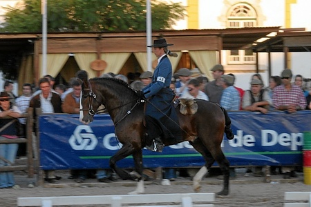 6ª FEIRA -10-11-06 - CONCURSO NACIONAL OFICIAL DE CAVALOS DE SELA - 4 ANOS APRESENTADOS MONTADOS