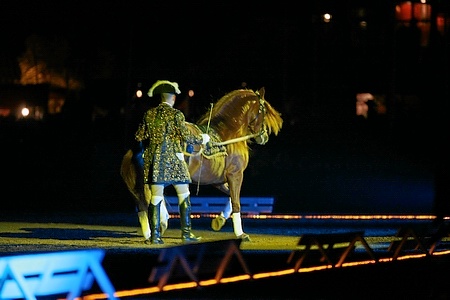 SABADO - 11-11-06 - ESPECTACULO EQUESTRE DO CENTRO DA LEZIRIA GRANDE