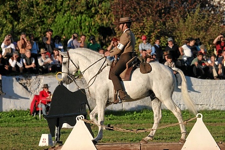 SABADO - 11-11-06 - FINAL DO CAMPEONATO NACIONAL DE EQUITAÇÃO DE TRABALHO - MANEABILIDADE