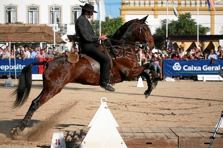 DOMINGO -  12-11-06 - FINAL DO CAMPEONATO NACIONAL DE EQUITAÇÃO DE TRABALHO -VELOCIDADE