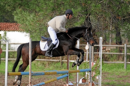 PROVA DE SALTO DE OBSTACULOS - MANHÃ