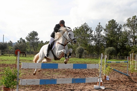 PROVA DE SALTO DE OBSTACULOS - TARDE