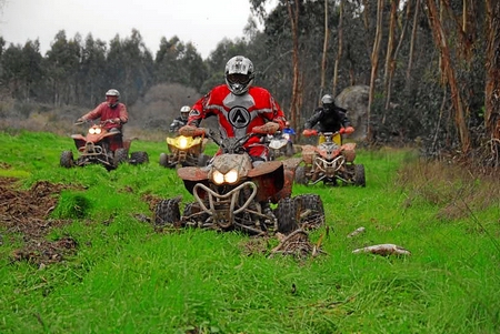 QUADS (P.NEVES)
