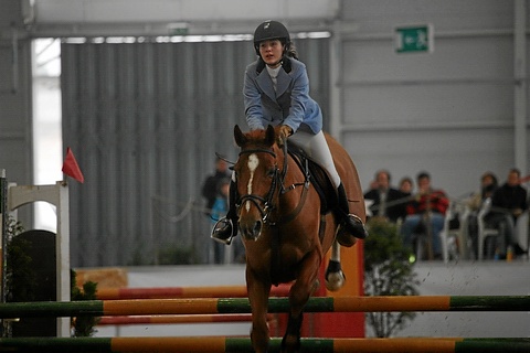 1 CONCURSO HIPICO INDOOR – RIA DE AVEIRO (CSN-B)