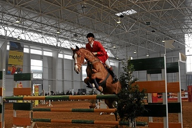 JOAO BOURBON DA SILVEIRA