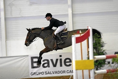 MIGUEL LARANJEIRA