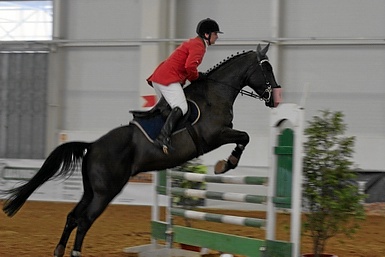 1 CONCURSO HIPICO INDOOR – RIA DE AVEIRO (CSN-B)