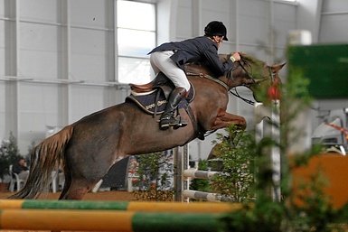 RUI D'OREY