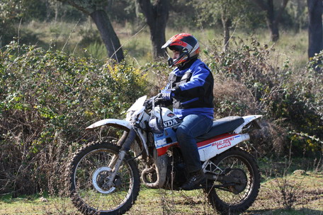 MOTAS - TT AMIGOS DA TERRA - MONTARGIL