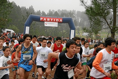 MASCULINO