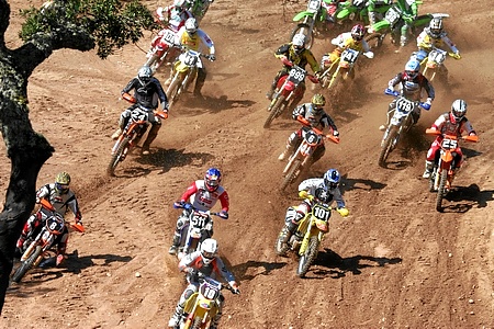 MX 1 (F.CASTANHO)