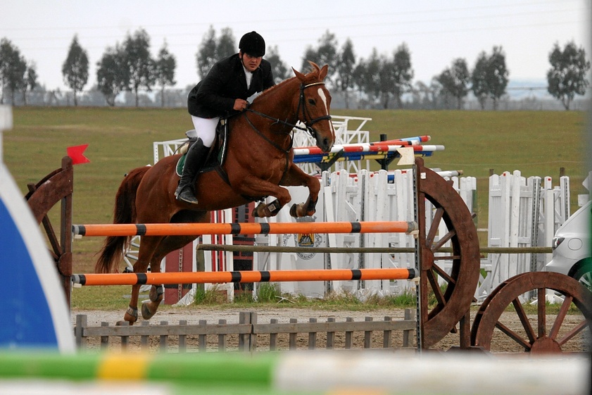 SERGIO GUDINO