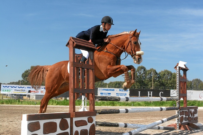 FERNANDO VITOR