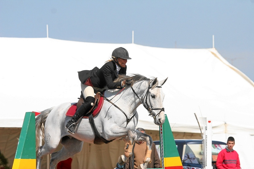 ANA M ALMEIDA