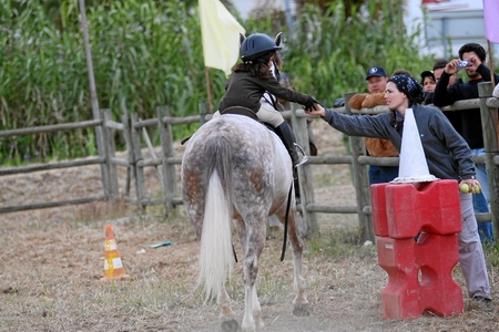 GINCANA E ATRELAGEM (VITOR RODRIGUES)