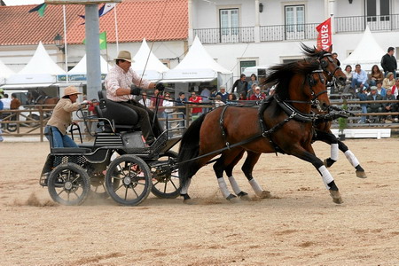 ATRELAGEM (F. CASTANHO)