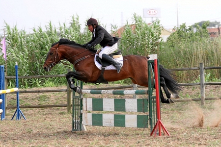 PROVA OPEN, MEDIA E GRANDE (VITOR RODRIGUES)