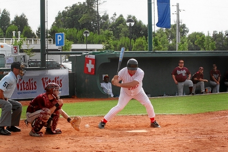 15-06-07 - BERN CARDINALS  -  TIGRES DE LOULÉ