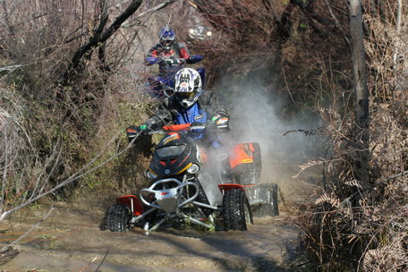 MOTO 4
