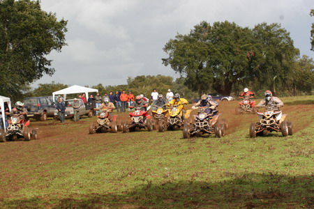 MOTO 4